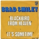 Brad Smiley - Blackbird From Heaven